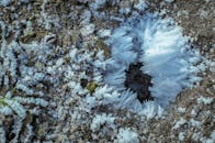 Detailed view of frost crystals forming intricate patterns on soil surface.